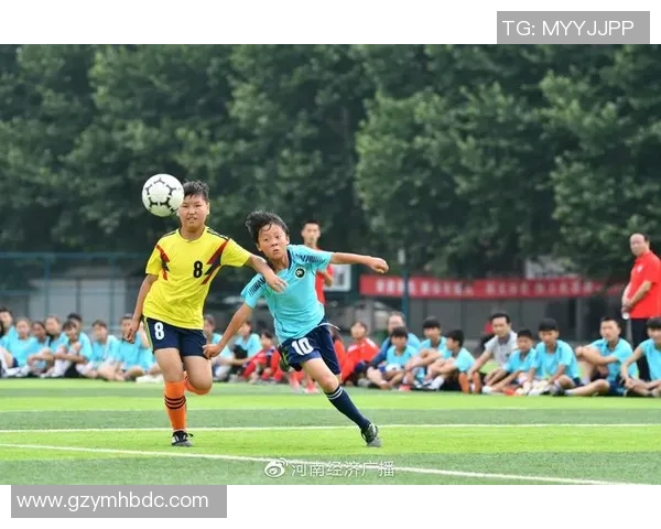 武汉足球队的节奏与激情探索：从历史到未来的全面分析与展望