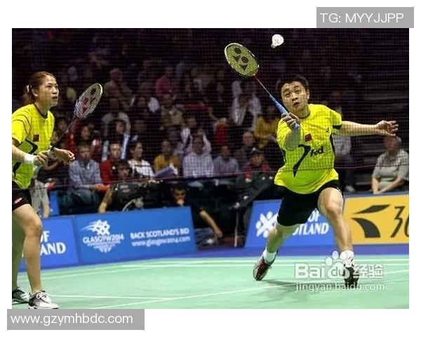 武汉羽毛球队区域防守体系解析与战术应用探讨 武汉羽毛球队区域防守体系解析与战术应用探讨