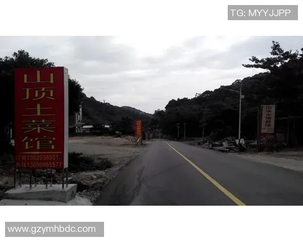 周丽独家分享攀岩心得与技巧助你轻松征服高峰挑战自我极限