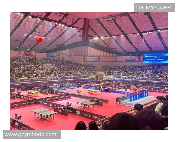 深圳乒乓球队的崛起与奋斗历程全景揭秘冠军赛特别报道